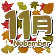 11月